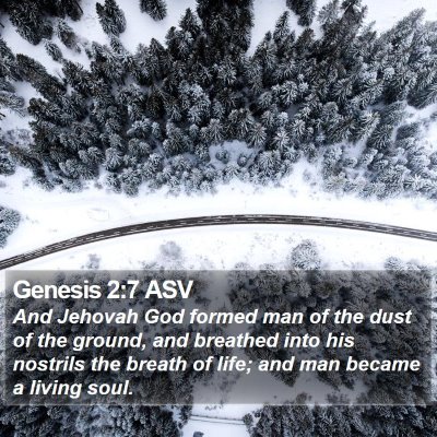 Genesis 2:7 ASV Bible Verse Image