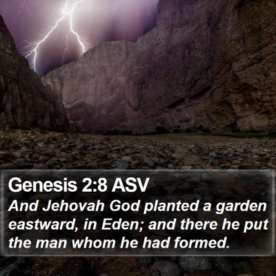 Genesis 2:8 ASV Bible Verse Image