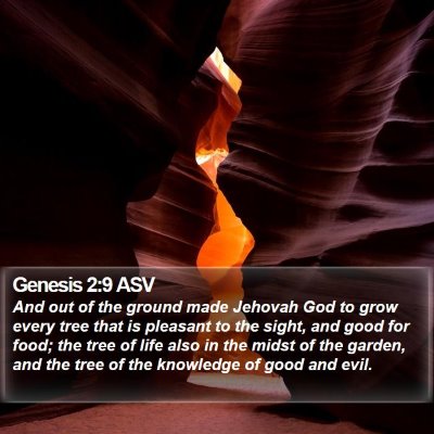 Genesis 2:9 ASV Bible Verse Image