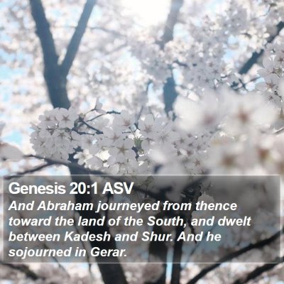 Genesis 20:1 ASV Bible Verse Image