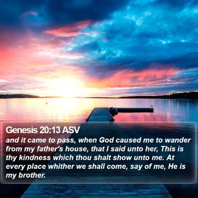 Genesis 20:13 ASV Bible Verse Image