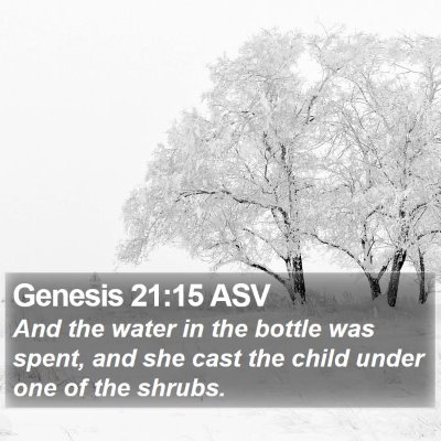 Genesis 21:15 ASV Bible Verse Image