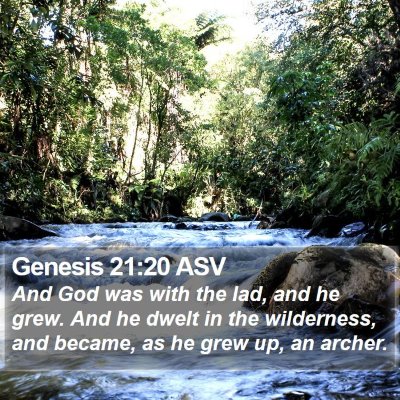 Genesis 21:20 ASV Bible Verse Image