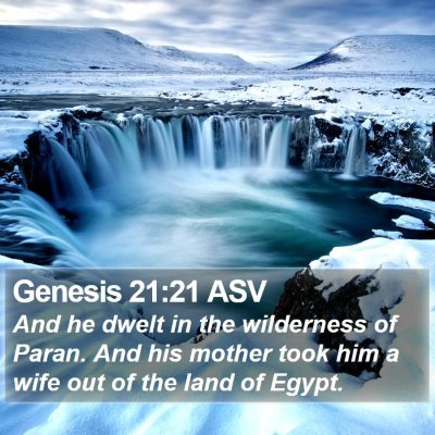 Genesis 21:21 ASV Bible Verse Image