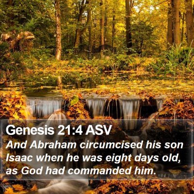 Genesis 21:4 ASV Bible Verse Image