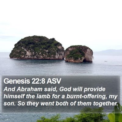 Genesis 22:8 ASV Bible Verse Image
