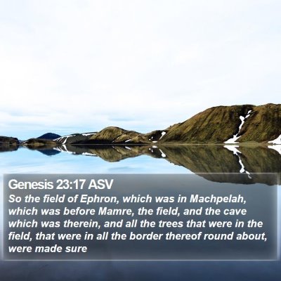 Genesis 23:17 ASV Bible Verse Image