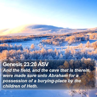Genesis 23:20 ASV Bible Verse Image