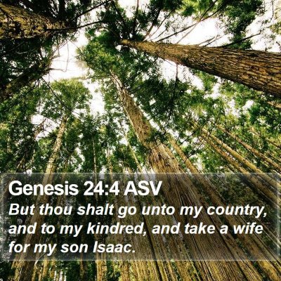 Genesis 24:4 ASV Bible Verse Image