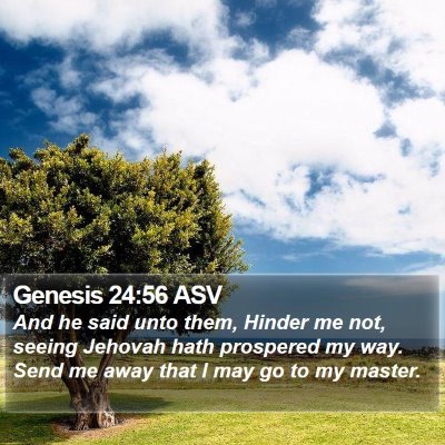 Genesis 24:56 ASV Bible Verse Image