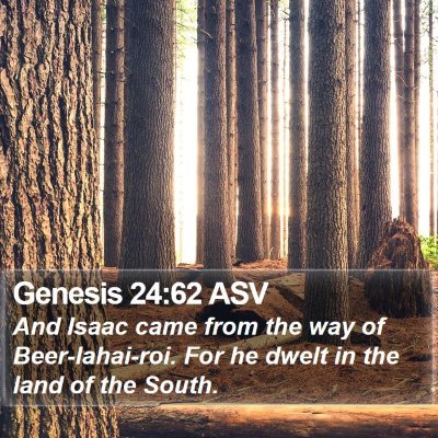 Genesis 24:62 ASV Bible Verse Image
