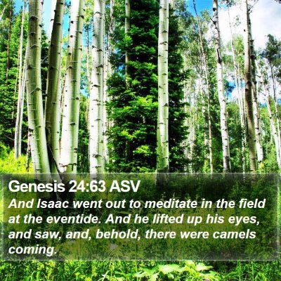 Genesis 24:63 ASV Bible Verse Image