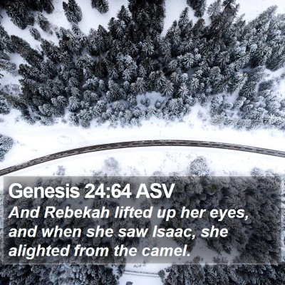 Genesis 24:64 ASV Bible Verse Image
