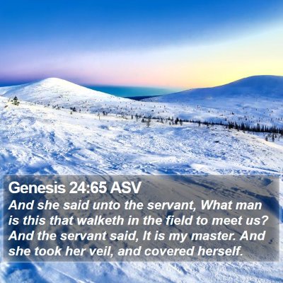 Genesis 24:65 ASV Bible Verse Image
