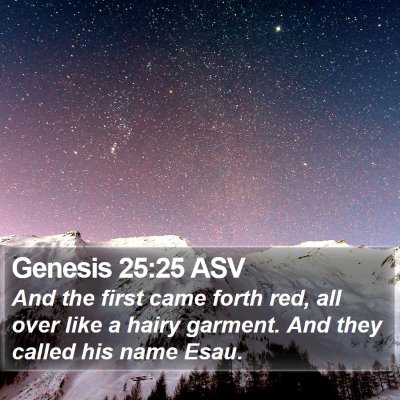 Genesis 25:25 ASV Bible Verse Image
