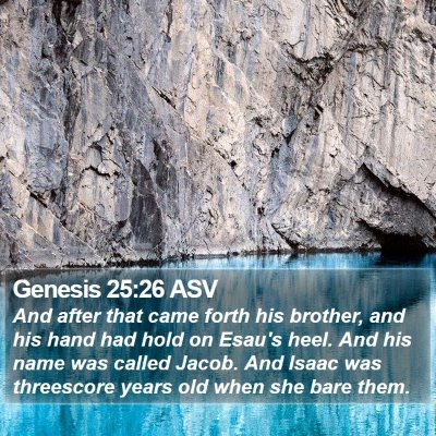 Genesis 25:26 ASV Bible Verse Image