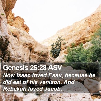 Genesis 25:28 ASV Bible Verse Image