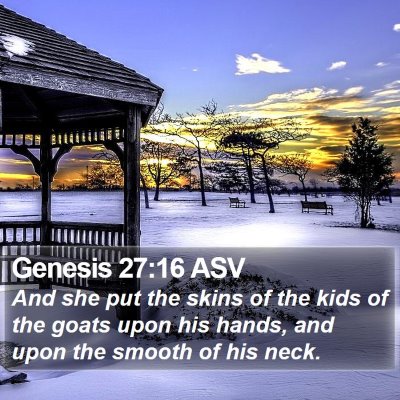 Genesis 27:16 ASV Bible Verse Image