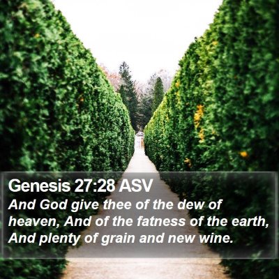 Genesis 27:28 ASV Bible Verse Image