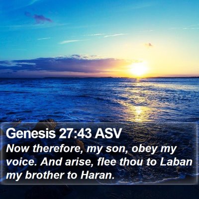 Genesis 27:43 ASV Bible Verse Image