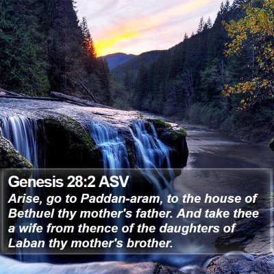 Genesis 28:2 ASV Bible Verse Image