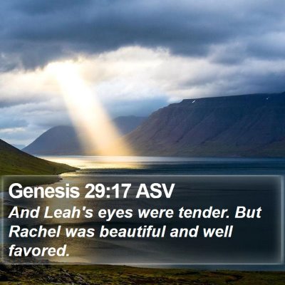 Genesis 29:17 ASV Bible Verse Image