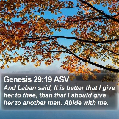 Genesis 29:19 ASV Bible Verse Image