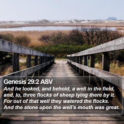 Genesis 29:2 ASV Bible Verse Image