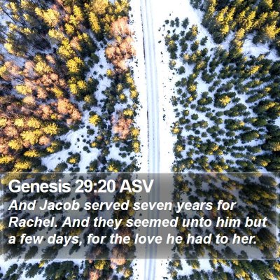 Genesis 29:20 ASV Bible Verse Image