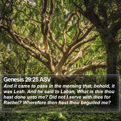Genesis 29:25 ASV Bible Verse Image