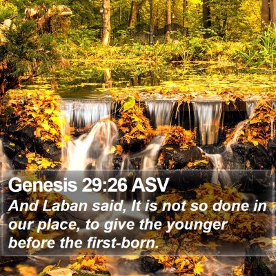 Genesis 29:26 ASV Bible Verse Image