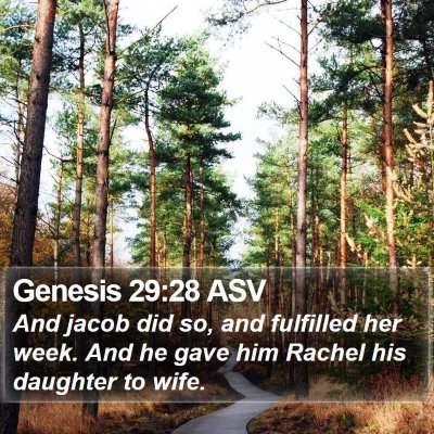 Genesis 29:28 ASV Bible Verse Image