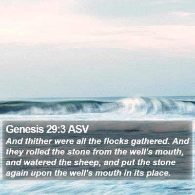 Genesis 29:3 ASV Bible Verse Image
