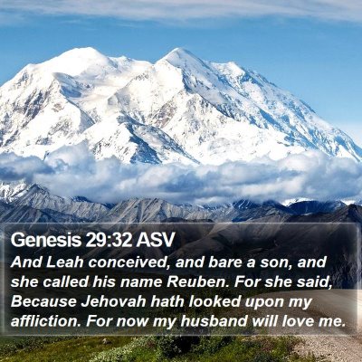 Genesis 29:32 ASV Bible Verse Image