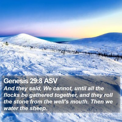 Genesis 29:8 ASV Bible Verse Image