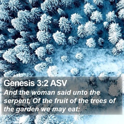 Genesis 3:2 ASV Bible Verse Image