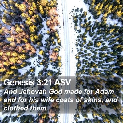 Genesis 3:21 ASV Bible Verse Image