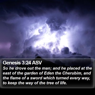 Genesis 3:24 ASV Bible Verse Image