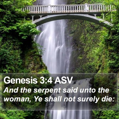 Genesis 3:4 ASV Bible Verse Image
