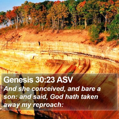 Genesis 30:23 ASV Bible Verse Image