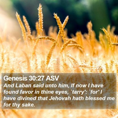Genesis 30:27 ASV Bible Verse Image
