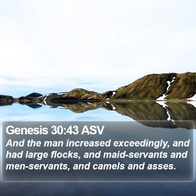 Genesis 30:43 ASV Bible Verse Image
