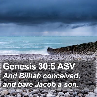 Genesis 30:5 ASV Bible Verse Image
