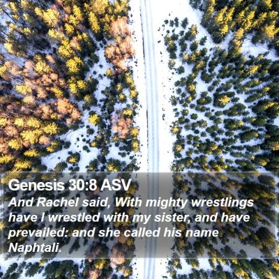 Genesis 30:8 ASV Bible Verse Image
