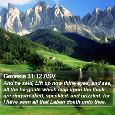 Genesis 31:12 ASV Bible Verse Image