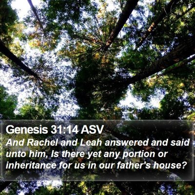 Genesis 31:14 ASV Bible Verse Image