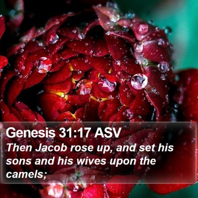 Genesis 31:17 ASV Bible Verse Image