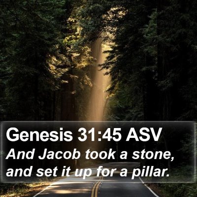 Genesis 31:45 ASV Bible Verse Image