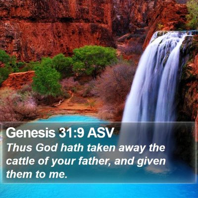 Genesis 31:9 ASV Bible Verse Image