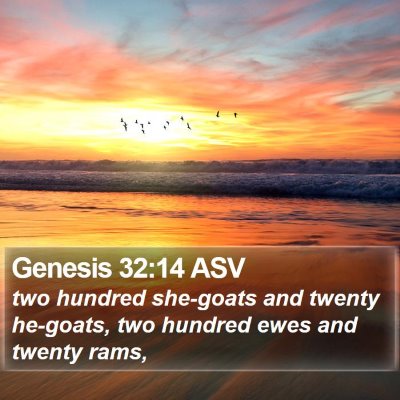 Genesis 32:14 ASV Bible Verse Image